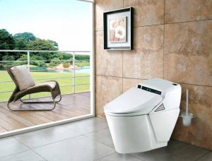 How to choose a water-saving toilet?