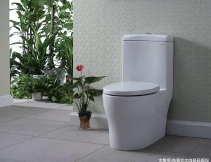 How are toilets classified? What are the types of toilets?