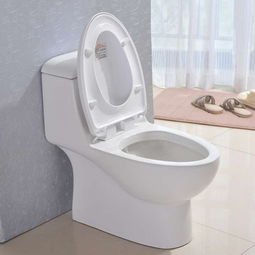 Flushing toilet working principle Flushing toilet daily cleaning and maintenance