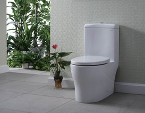 Sanitary toilet decorate | toilet barrels of distance measurement method and the installation method is introduced