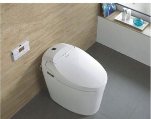 Does the tankless toilet work?