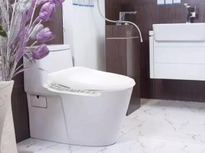 Toilet maintenance is something you need to know