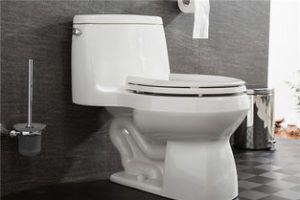 Teach you how to install a flush toilet