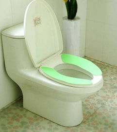 Quick collection of these toilet maintenance tips