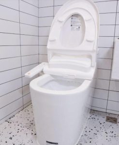 How to install a toilet to surprise the bathroom