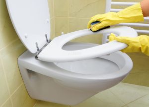 Toilet maintenance multiple focus bacteria multiple cleaning