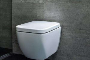 What are the advantages and disadvantages of household wall toilet