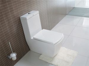 What is the size of the toilet and how to choose the appearance of the toilet