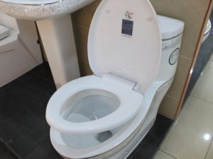 Toilet purchase skills toilet maintenance method