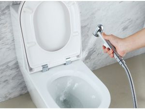 Quick tips for unclogging the toilet