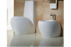 How to install a seated toilet