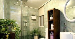 Toilet plant placement Feng shui pay attention to plant feng shui knowledge