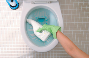 To ensure the quality of life and health of family members, attention should be paid to toilet cleaning and maintenance