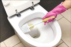 Household toilet maintenance, cleaning knowledge: to avoid potential disease