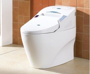 Intelligent toilet performance and maintenance skills