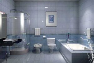 Toilet daily cleaning and maintenance tips have a healthy and clean space