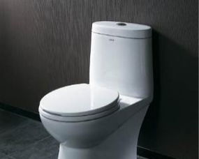 Toilet has a knack of buying experts for you