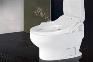 Toilet classification and purchase, installation, maintenance skills analysis