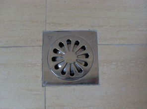 What does washroom use floor drain good washroom floor drain antitaste how to do