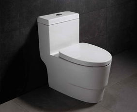 How to install a Split toilet