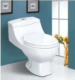 Sitting toilet blocked dredging tips to make you a small home handy!