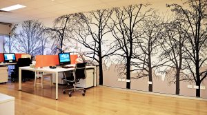 Office decoration in early winter comprehensive mildew prevention method