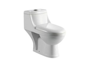 The size of the toilet bowl The size of the toilet bowl