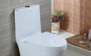 Squat toilet and toilet which good squat toilet and toilet advantages and disadvantages