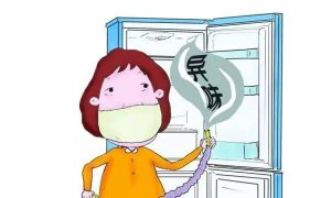 How to get rid of refrigerator odor The way to prevent the refrigerator from odor