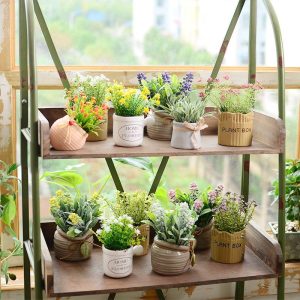 Ten kinds of potted green plants are good-looking and easy to maintain, and the family likes them for home decoration