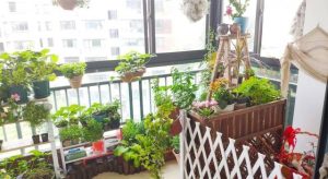 How to plant flowers on the balcony is the most appropriate?