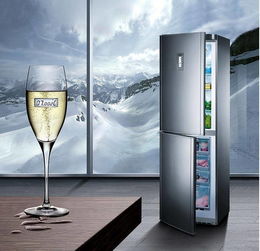 Siemens refrigerator cost performance ranking – Siemens refrigerator quality how easy to use?