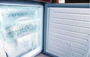 The refrigerator freezer freezes