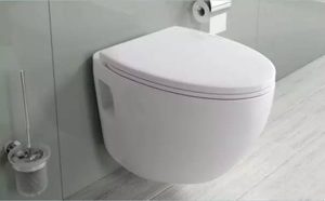 How about wall-mounted toilets?