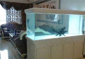 What is the location of the fish tank in the home prosperity fish tank placement taboo