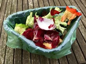 Kitchen waste to make organic fertilizer, enzyme compost practice