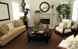 Living room plant placement feng shui diagram