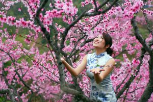 How to use Feng Shui to cut rotten peach blossoms