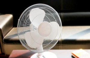 What products does Big pine electric fan have? What about the price?