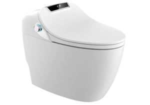 Top 10 Smart Toilet Brands (2023)