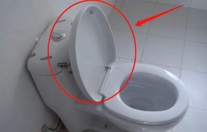 Bacteria in the toilet? Should the toilet seat be closed or not