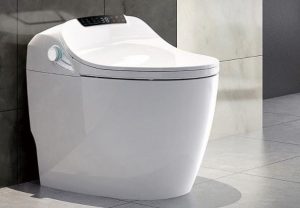 2023 smart toilet which is cost-effective – cost-effective smart toilet recommendations