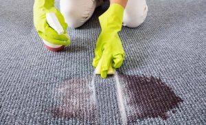 What should you do if you get Coca-Cola on the carpet