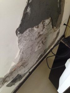 How to deal with mildew on the walls of the room