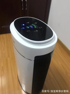 Function of air body purifier