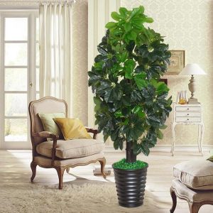 What plants are suitable for planting in front of the home prosperity trees suitable for planting in front of the home