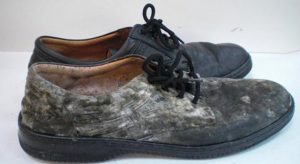 How does leather shoes get wet easily moldy do to prevent leather shoes moldy little trick