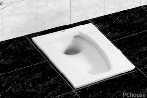 Squat toilet ten famous brand introduction