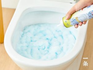 Use one common item to remove bacteria and dirt from toilet