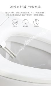 Electric toilet to wash butt health